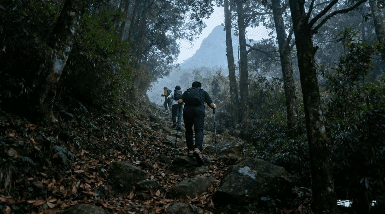 海鸥神灯加速器设置指南：实现最佳网络连接效果的详细步骤